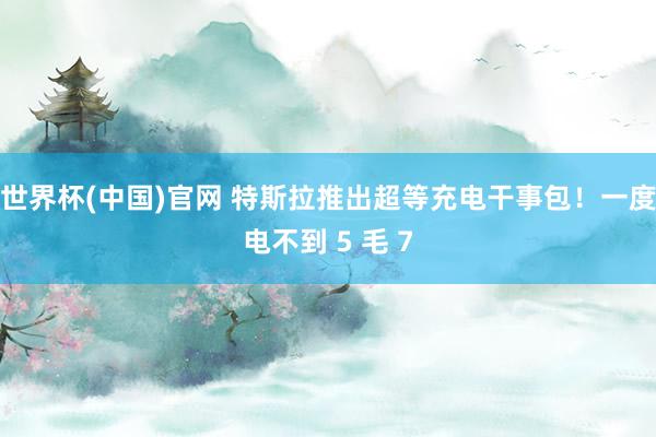 世界杯(中国)官网 特斯拉推出超等充电干事包!一度电不到 5 毛 7