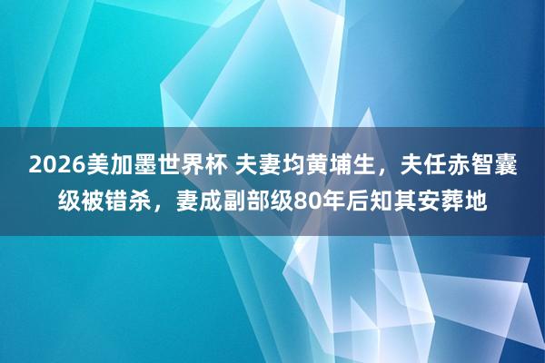 2026美加墨世界杯 夫妻均黄埔生,夫任赤智囊级被错杀,妻成副部级80年后知其安葬地