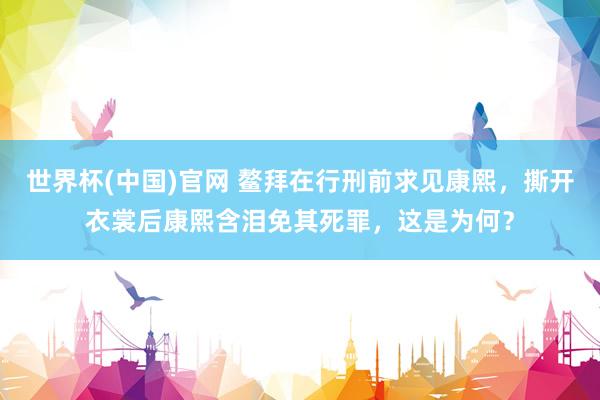 世界杯(中国)官网 鳌拜在行刑前求见康熙,撕开衣裳后康熙含泪免其死罪,这是为何?