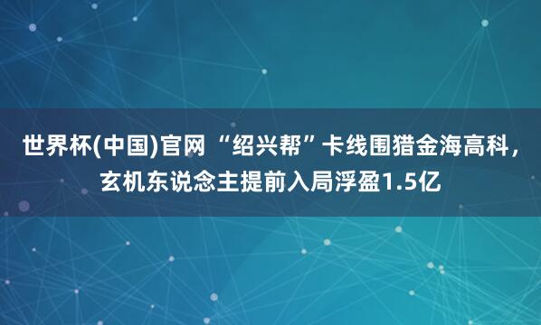 世界杯(中国)官网 “绍兴帮”卡线围猎金海高科，玄机东说念主提前入局浮盈1.5亿