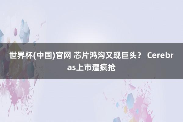 世界杯(中国)官网 芯片鸿沟又现巨头？ Cerebras上市遭疯抢