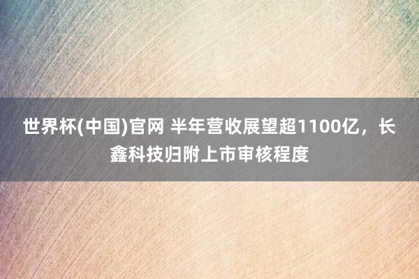 世界杯(中国)官网 半年营收展望超1100亿，长鑫科技归附上市审核程度