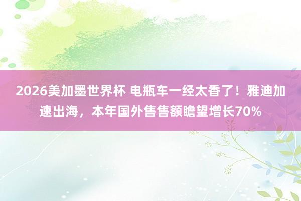 2026美加墨世界杯 电瓶车一经太香了！雅迪加速出海，本年国外售售额瞻望增长70%