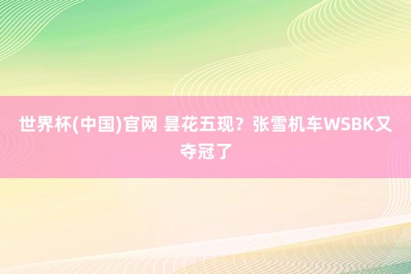 世界杯(中国)官网 昙花五现?张雪机车WSBK又夺冠了