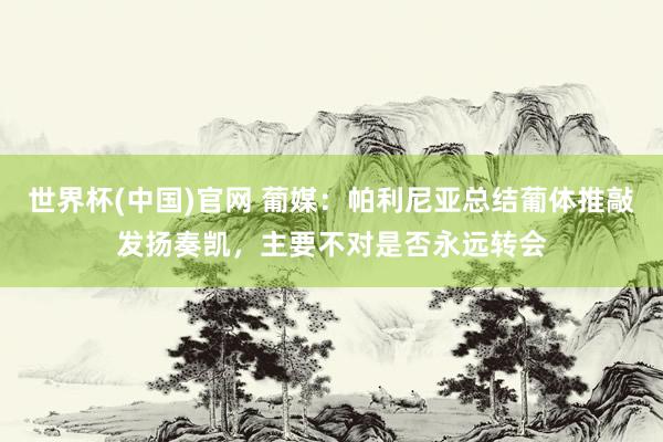 世界杯(中国)官网 葡媒:帕利尼亚总结葡体推敲发扬奏凯,主要不对是否永远转会