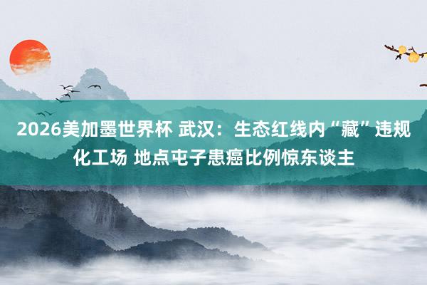 2026美加墨世界杯 武汉：生态红线内“藏”违规化工场 地点屯子患癌比例惊东谈主