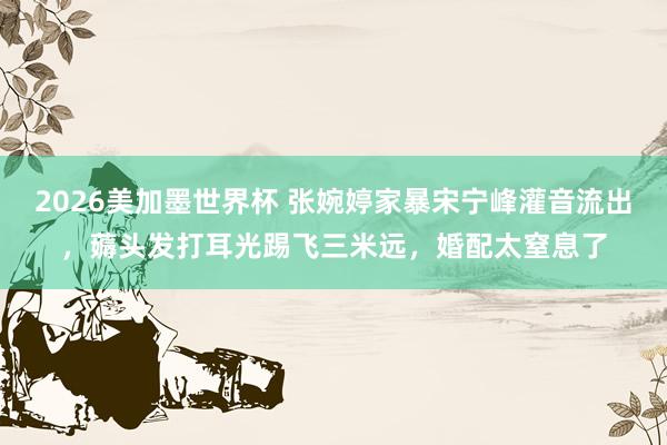 2026美加墨世界杯 张婉婷家暴宋宁峰灌音流出，薅头发打耳光踢飞三米远，婚配太窒息了