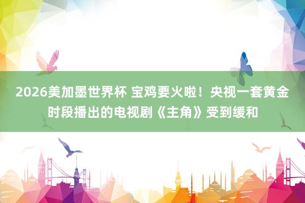 2026美加墨世界杯 宝鸡要火啦！央视一套黄金时段播出的电视剧《主角》受到缓和