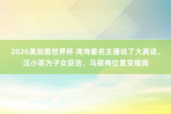 2026美加墨世界杯 湾湾着名主播说了大真话，汪小菲为子女妥洽，马筱梅位置变喧阗