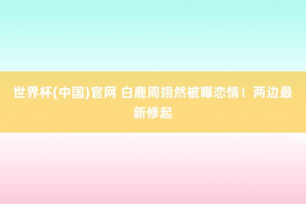 世界杯(中国)官网 白鹿周翊然被曝恋情!两边最新修起