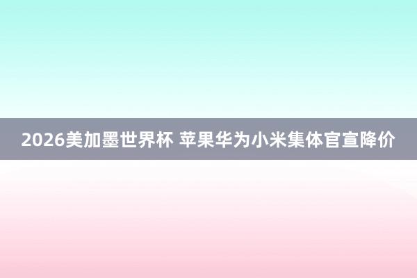 2026美加墨世界杯 苹果华为小米集体官宣降价