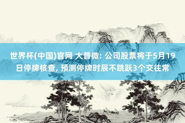 世界杯(中国)官网 大普微: 公司股票将于5月19日停牌核查, 预测停牌时辰不跳跃3个交往常