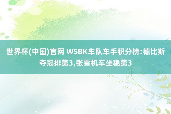 世界杯(中国)官网 WSBK车队车手积分榜:德比斯夺冠排第3,张雪机车坐稳第3