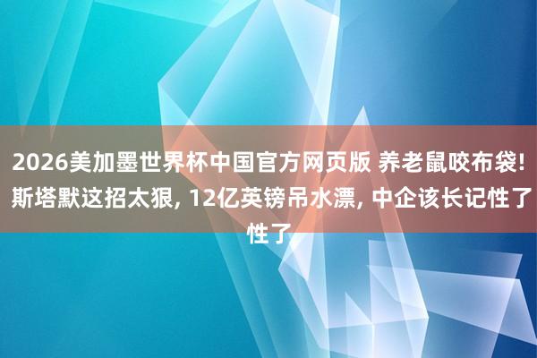 2026美加墨世界杯中国官方网页版 养老鼠咬布袋! 斯塔默这招太狠, 12亿英镑吊水漂, 中企该长记性了