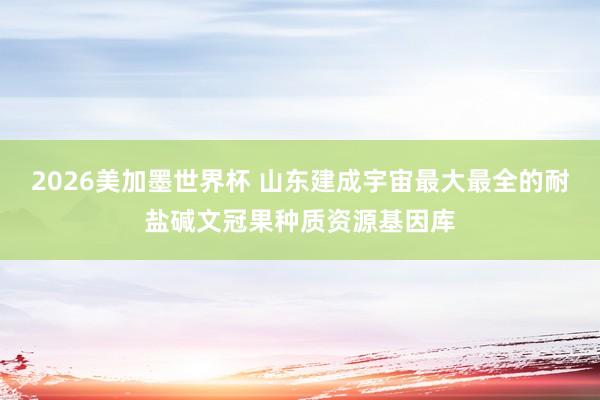 2026美加墨世界杯 山东建成宇宙最大最全的耐盐碱文冠果种质资源基因库