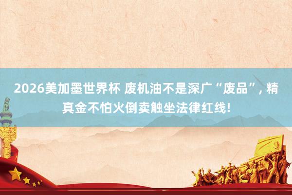 2026美加墨世界杯 废机油不是深广“废品”, 精真金不怕火倒卖触坐法律红线!