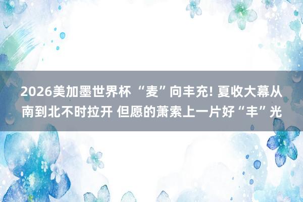 2026美加墨世界杯 “麦”向丰充! 夏收大幕从南到北不时拉开 但愿的萧索上一片好“丰”光
