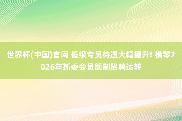世界杯(中国)官网 低级专员待遇大幅擢升! 横琴2026年抓委会员额制招聘运转
