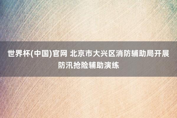 世界杯(中国)官网 北京市大兴区消防辅助局开展防汛抢险辅助演练