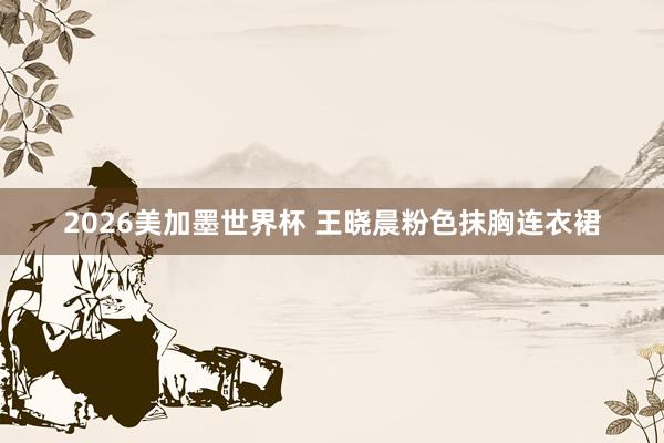 2026美加墨世界杯 王晓晨粉色抹胸连衣裙