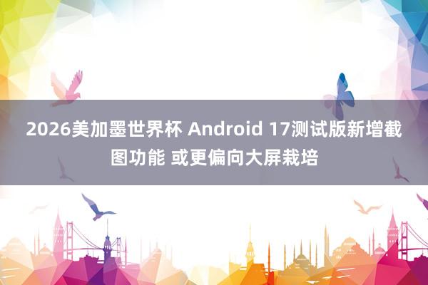 2026美加墨世界杯 Android 17测试版新增截图功能 或更偏向大屏栽培