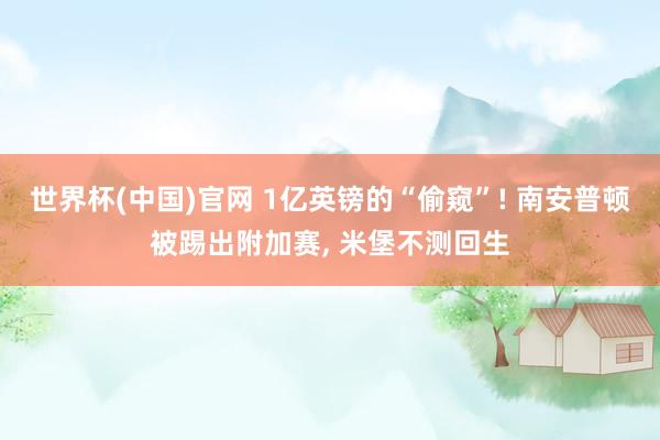 世界杯(中国)官网 1亿英镑的“偷窥”! 南安普顿被踢出附加赛, 米堡不测回生