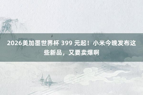 2026美加墨世界杯 399 元起！小米今晚发布这些新品，又要卖爆啊
