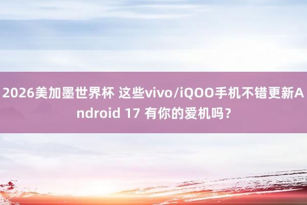 2026美加墨世界杯 这些vivo/iQOO手机不错更新Android 17 有你的爱机吗?
