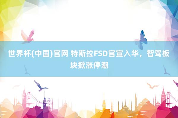 世界杯(中国)官网 特斯拉FSD官宣入华，智驾板块掀涨停潮