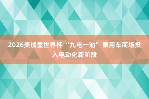 2026美加墨世界杯 “九电一油” 乘用车商场投入电动化新阶段