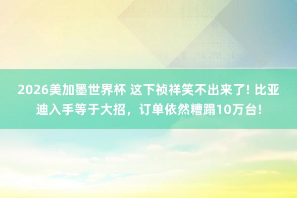 2026美加墨世界杯 这下祯祥笑不出来了! 比亚迪入手等于大招，订单依然糟蹋10万台!