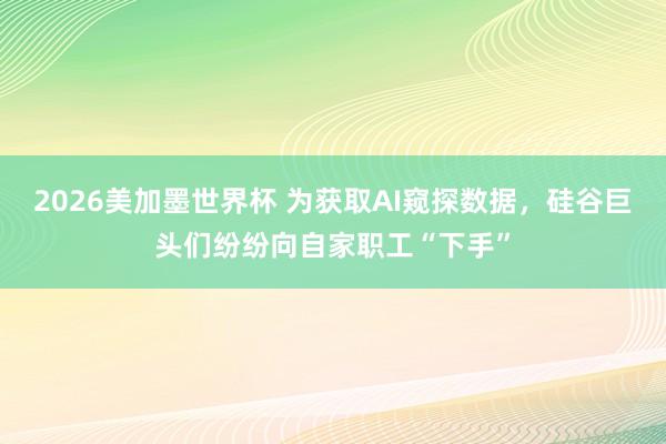 2026美加墨世界杯 为获取AI窥探数据，硅谷巨头们纷纷向自家职工“下手”