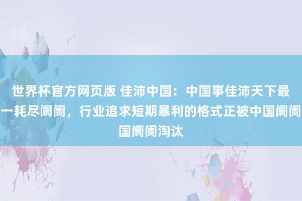 世界杯官方网页版 佳沛中国：中国事佳沛天下最大单一耗尽阛阓，行业追求短期暴利的格式正被中国阛阓淘汰