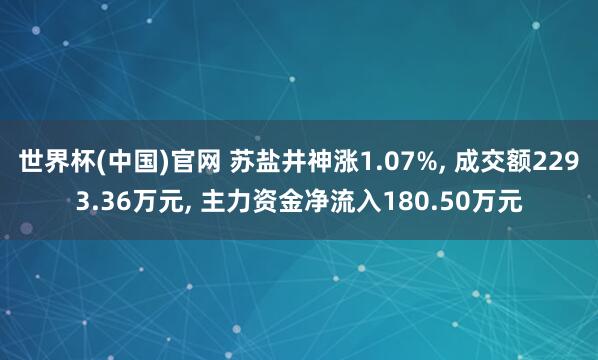 世界杯(中国)官网 苏盐井神涨1.07%, 成交额2293.36万元, 主力资金净流入180.50万元