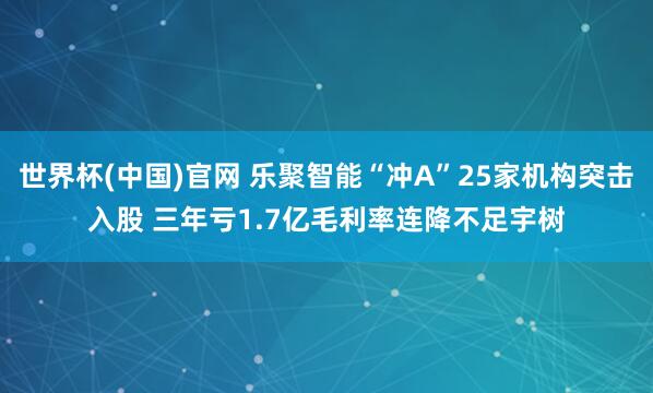 世界杯(中国)官网 乐聚智能“冲A”25家机构突击入股 三年亏1.7亿毛利率连降不足宇树