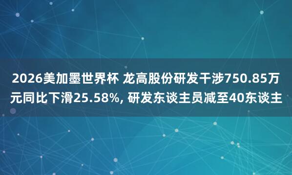 2026美加墨世界杯 龙高股份研发干涉750.85万元同比下滑25.58%, 研发东谈主员减至40东谈主