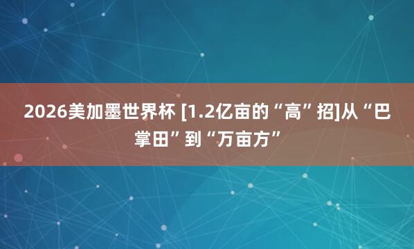 2026美加墨世界杯 [1.2亿亩的“高”招]从“巴掌田”到“万亩方”