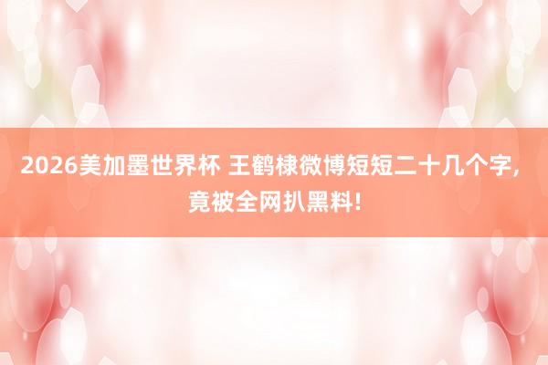 2026美加墨世界杯 王鹤棣微博短短二十几个字, 竟被全网扒黑料!