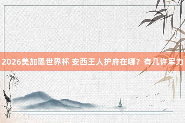 2026美加墨世界杯 安西王人护府在哪？有几许军力