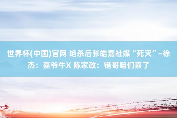 世界杯(中国)官网 绝杀后张皓嘉社媒“死灭”~徐杰：嘉爷牛X 陈家政：错哥咱们嘉了