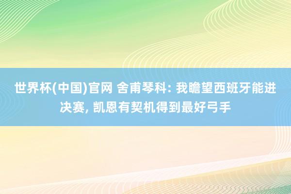 世界杯(中国)官网 舍甫琴科: 我瞻望西班牙能进决赛, 凯恩有契机得到最好弓手