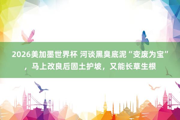 2026美加墨世界杯 河谈黑臭底泥“变废为宝”，马上改良后固土护坡，又能长草生根
