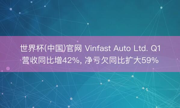 世界杯(中国)官网 Vinfast Auto Ltd. Q1营收同比增42%, 净亏欠同比扩大59%