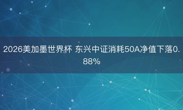 2026美加墨世界杯 东兴中证消耗50A净值下落0.88%