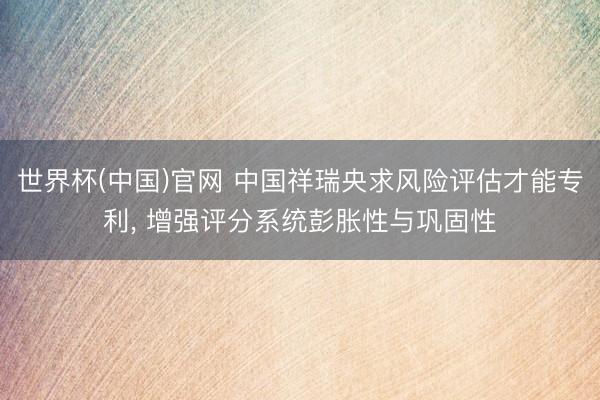 世界杯(中国)官网 中国祥瑞央求风险评估才能专利, 增强评分系统彭胀性与巩固性