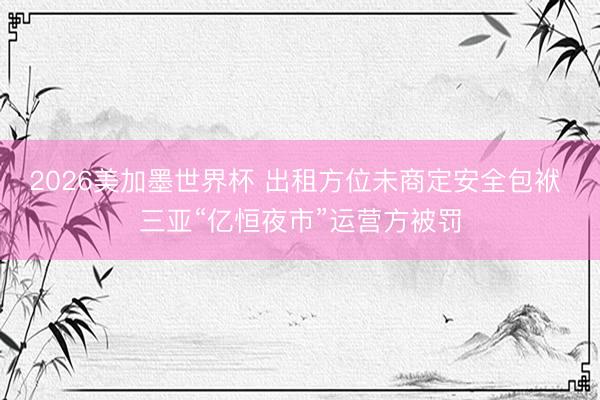 2026美加墨世界杯 出租方位未商定安全包袱 三亚“亿恒夜市”运营方被罚