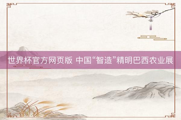 世界杯官方网页版 中国“智造”精明巴西农业展