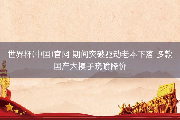 世界杯(中国)官网 期间突破驱动老本下落 多款国产大模子晓喻降价