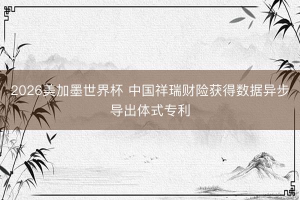 2026美加墨世界杯 中国祥瑞财险获得数据异步导出体式专利